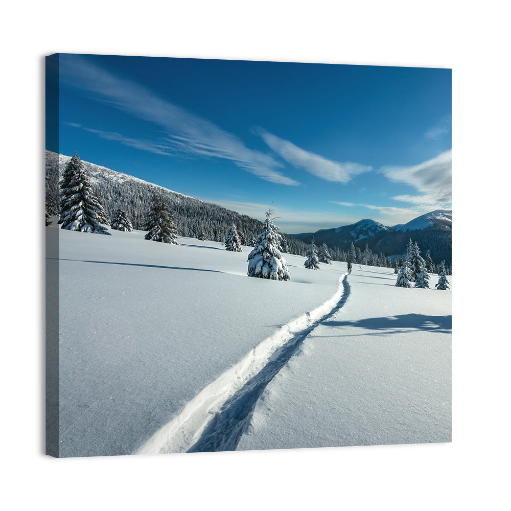 Snowy Carpathian Trail Wall Art
