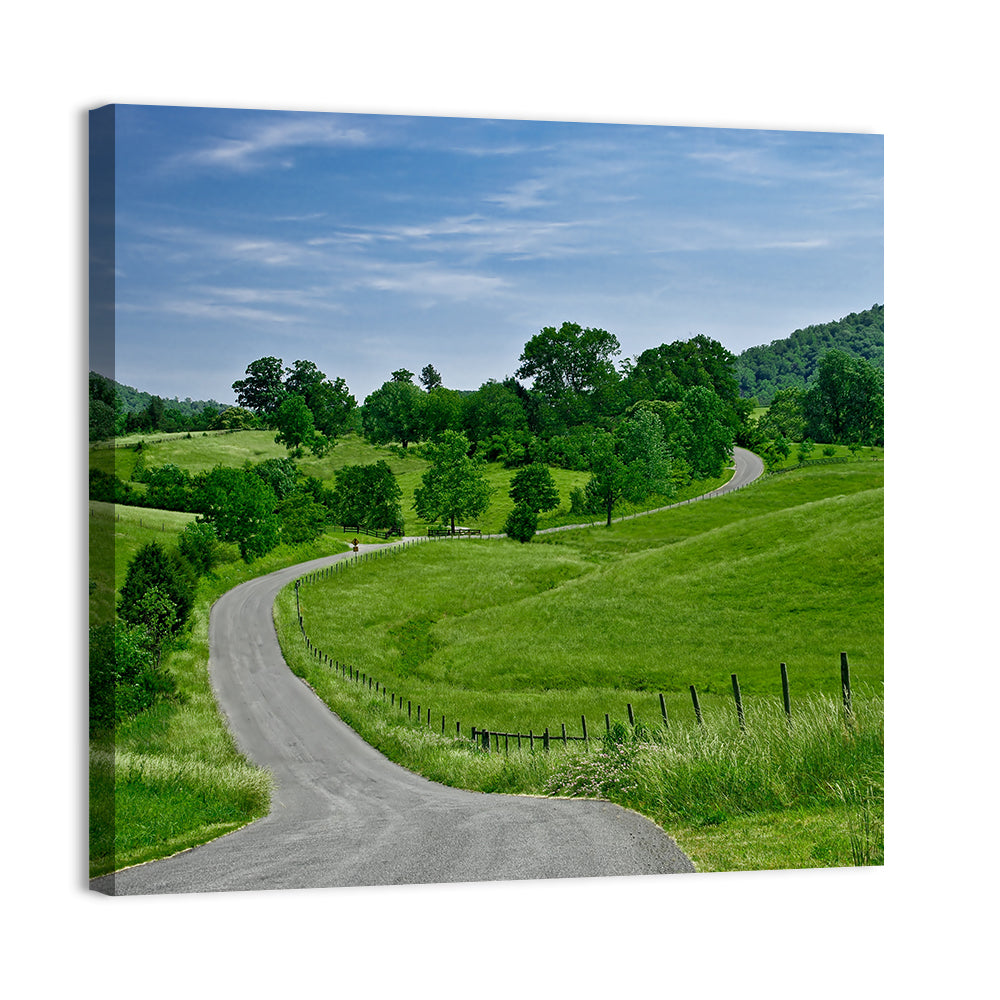 Blue Ridge Winding Road, Western Virginia Wall Art