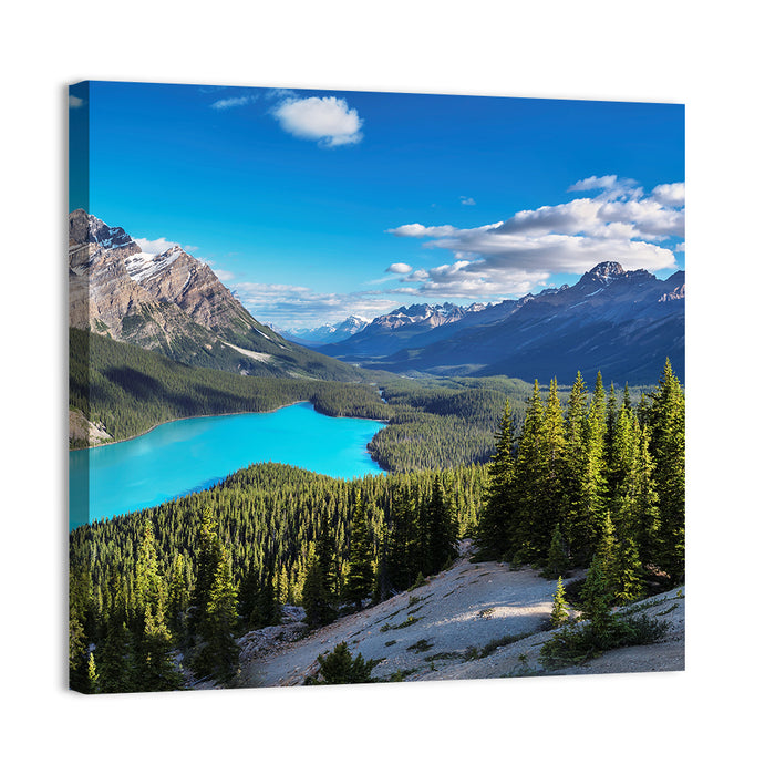 Peyto Lake, Banff National Park Wall Art as a canvas print