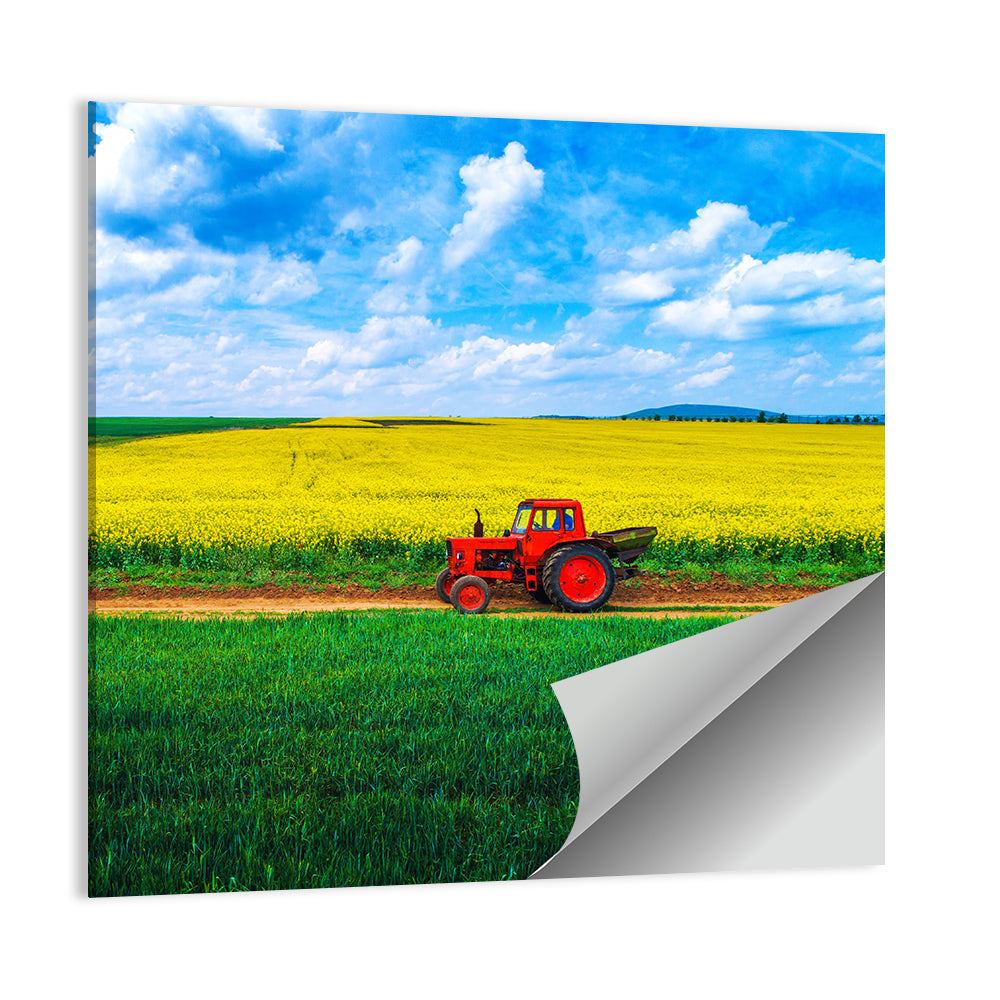 Aerial View Over Agricultural Fields Wall Art