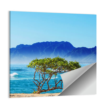 Amazing Hawaiian Beach Wall Art