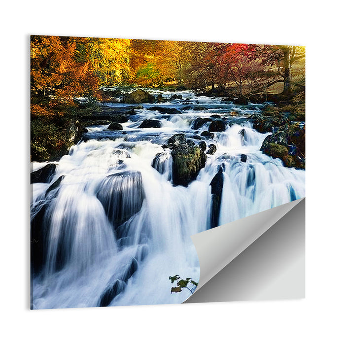 Mossy Autumn Forest Waterfall Wall Art as a poster print