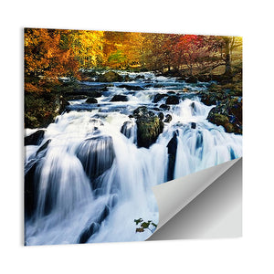 Autumn Forest Waterfall Wall Art