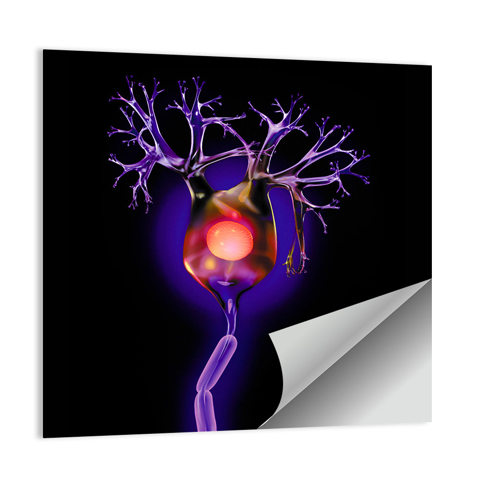 Human Neuron Cell Wall Art