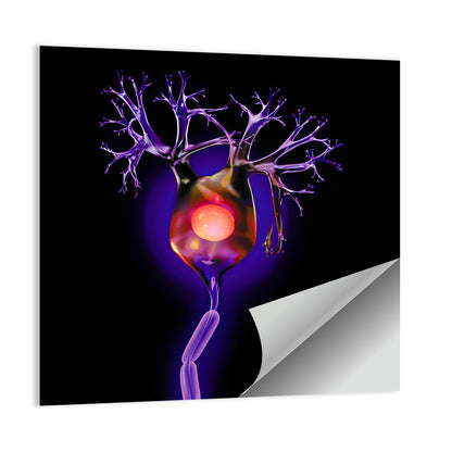 Human Neuron Cell Wall Art
