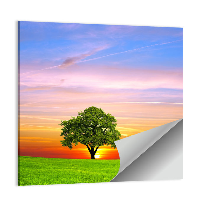 Lone Tree at Sunset Wall Art as a poster print