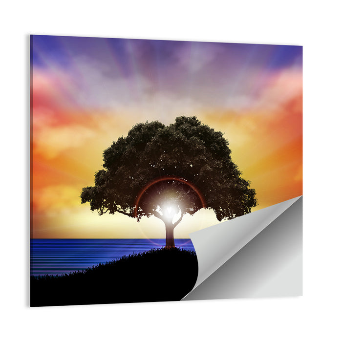 Coastal Sunset Tree Silhouette Wall Art as a poster print