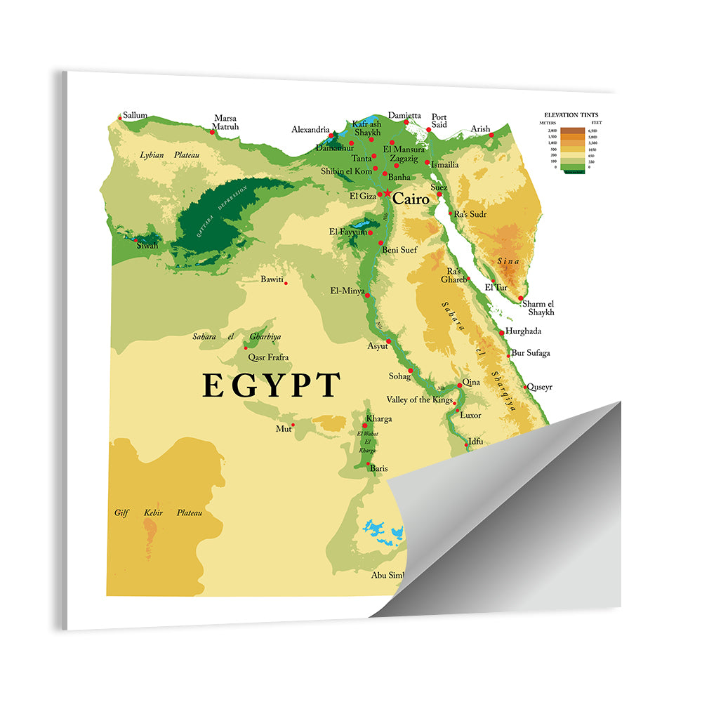 Egypt Topographic Map Wall Art