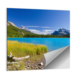 Lake In Jasper National Park Wall Art