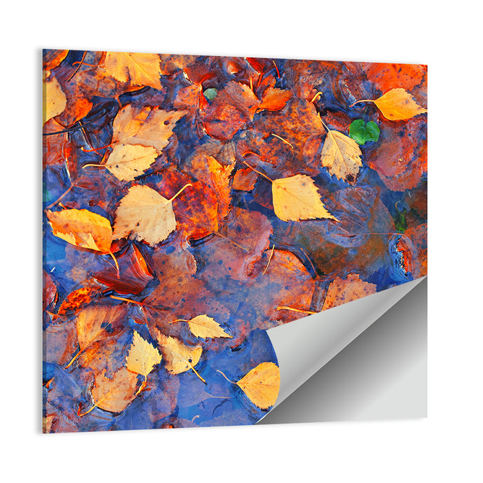 Birch Leaves in Rain Puddle Wall Art as a poster print