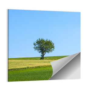 Lonely Tree At Meadow Wall Art