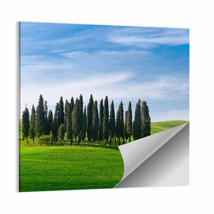 Tuscany Rolling Hills with Cypresses Wall Art as a poster print