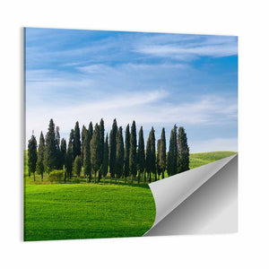 Tuscany Landscape Wall Art