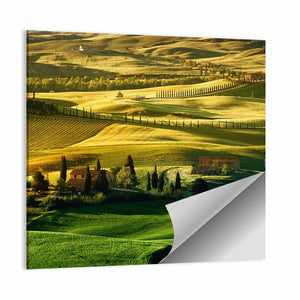 Fields Of Tuscany Wall Art