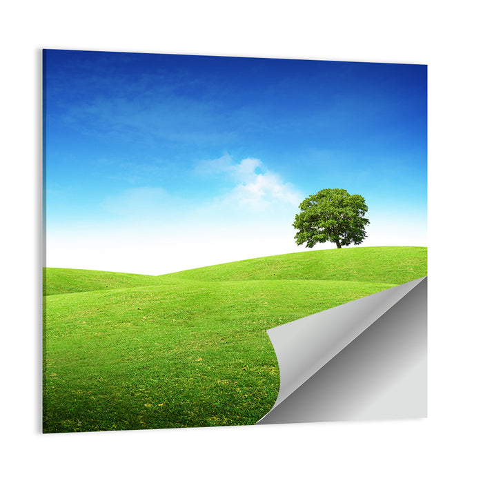 Lone Tree on Rolling Green Hill Wall Art as a poster print