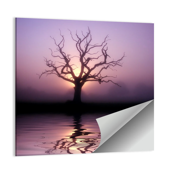Bare Tree at Dawn Wall Art as a poster print