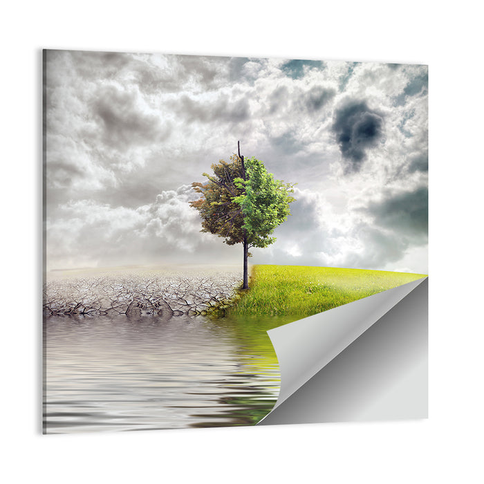Tree Between Life and Decay Wall Art as a poster print
