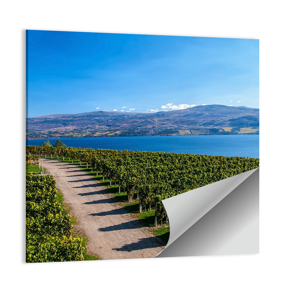 Lake Okanagan Vineyard Path Wall Art
