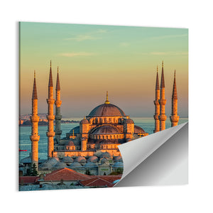 Blue Mosque In Istanbul Wall Art