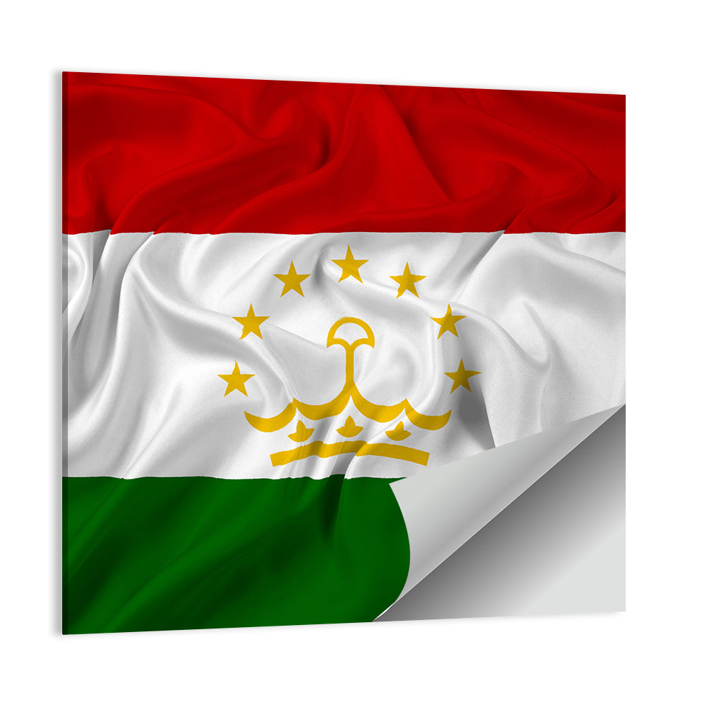Tajikistan Flag with Crown Emblem Wall Art