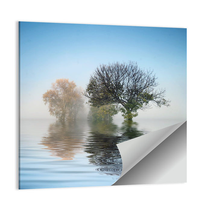 Misty Lake Reflection Wall Art as a poster print
