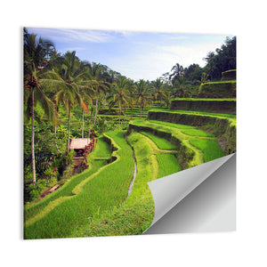 Terrace Rice Fields In Tegallalang Wall Art