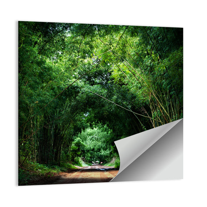 Bamboo Road in Kyoto Wall Art as a poster print