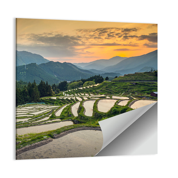 Sunset Over Japanese Rice Terraces Wall Art as a poster print