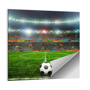 Soccer Ball On Stadium Wall Art