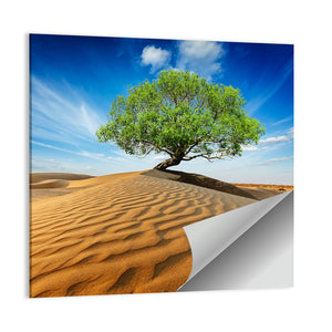 Lonely Green Tree In Desert Dunes Wall Art