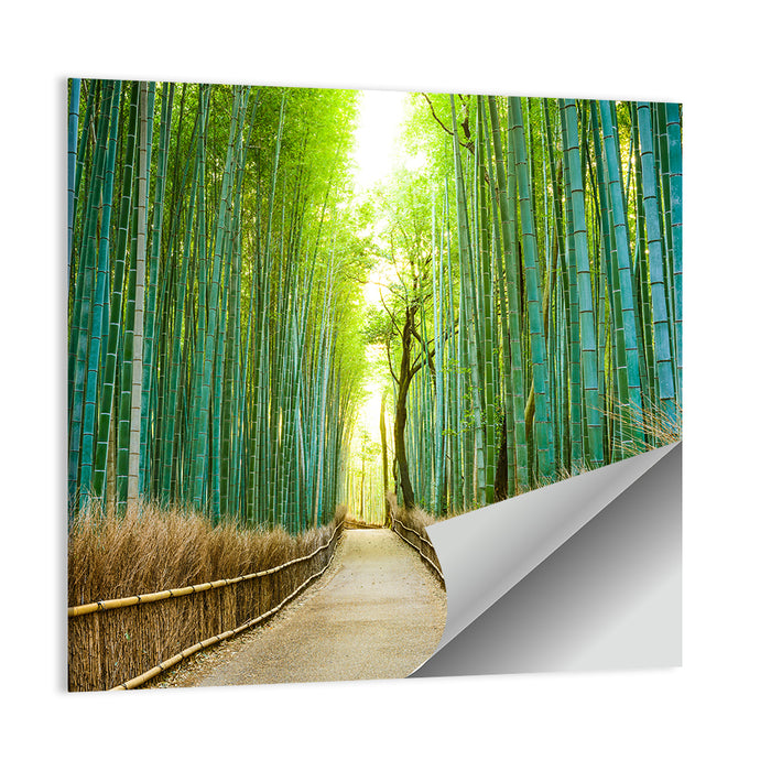 Arashiyama Bamboo Path, Kyoto Wall Art as a poster print