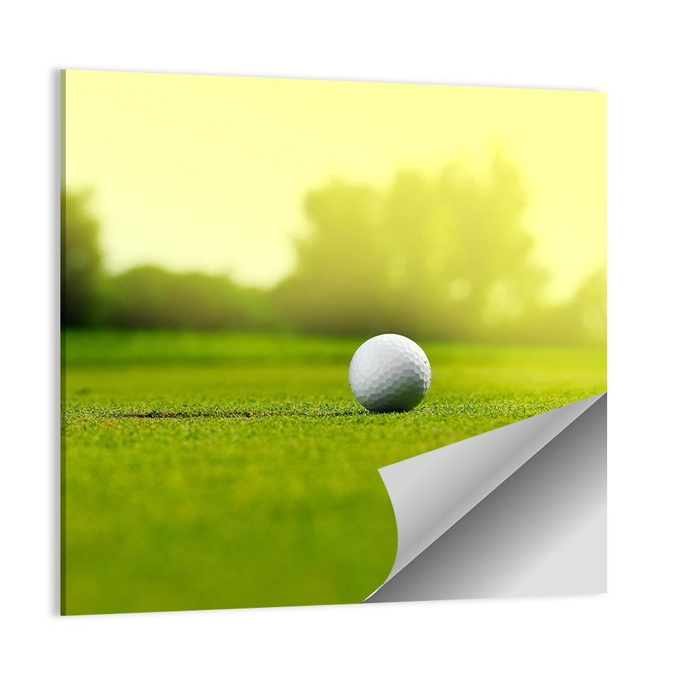 Golf Ball Near Hole Wall Art