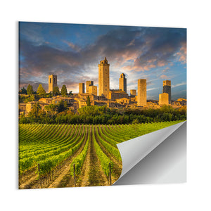 Vineyards Of San Gimignano Tuscany Wall Art