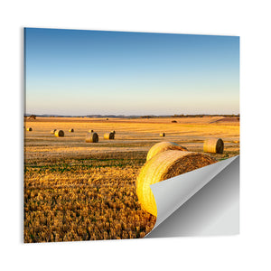 Farm Land Hay Bales Sunset Wall Art