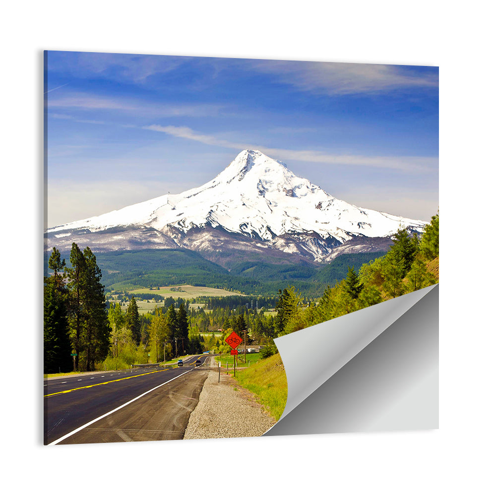 Mt Hood from a Road Wall Art