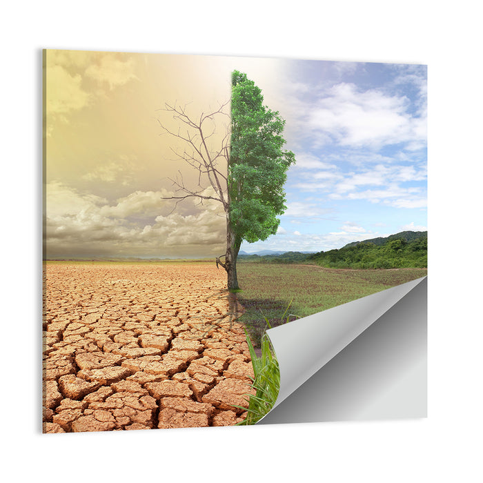 Split Landscape with Half-alive Tree Wall Art as a poster print