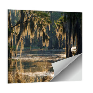 Spanish Moss In Louisiana Bayou Wall Art