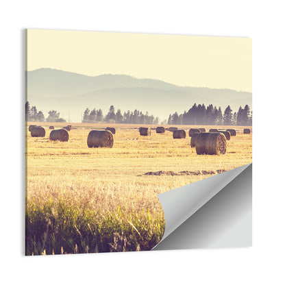 Hay Bales Field Wall Art