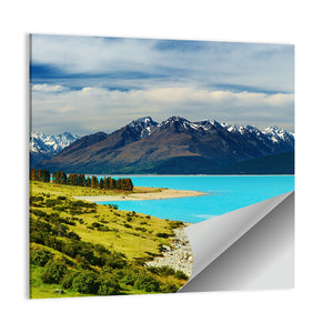 Mount Cook & Pukaki Lake In New Zealand Wall Art