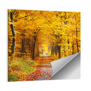 Road In Autumn Forest Wall Art