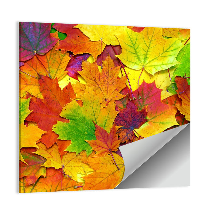 Colorful Autumn Leaves Wall Art as a poster print