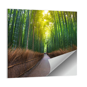 Bamboo Forest In Kyoto Wall Art