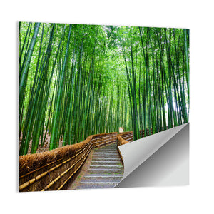 Path To Bamboo Forest Kyoto Wall Art