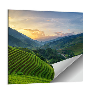 Rice Fields On Terrace Vietnam Wall Art