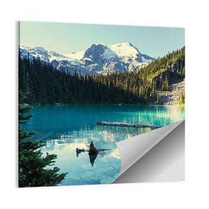 Joffre Lake in Canada Wall Art