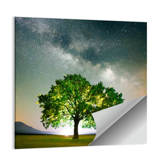Lone Tree Under Milky Way Wall Art as a poster print