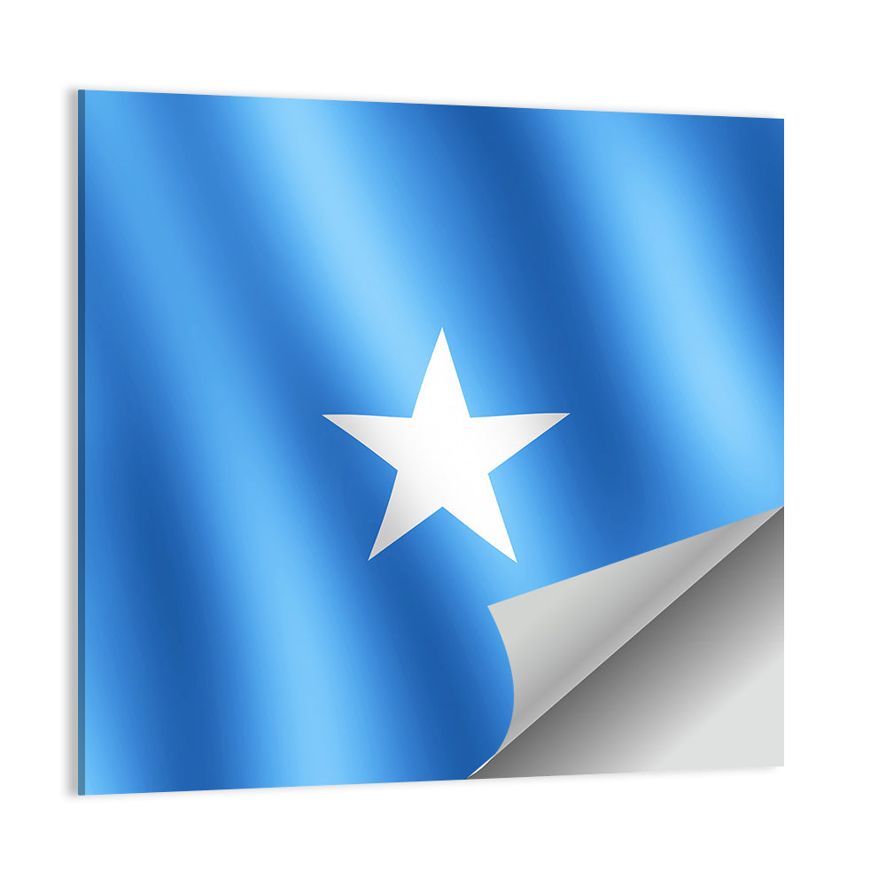Somalia Flag with Five-pointed Star Wall Art