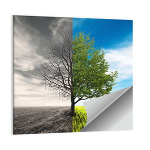 Lonely Tree In Field Wall Art