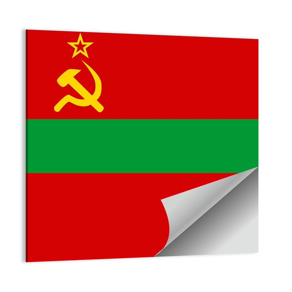 Flag of Transnistria Wall Art
