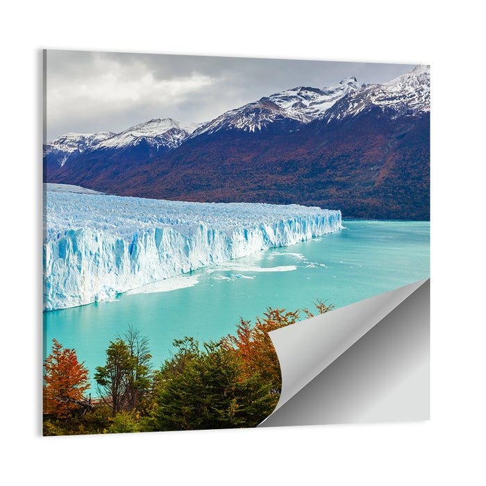 Perito Moreno Glacier with Autumn Foliage Wall Art as a poster print